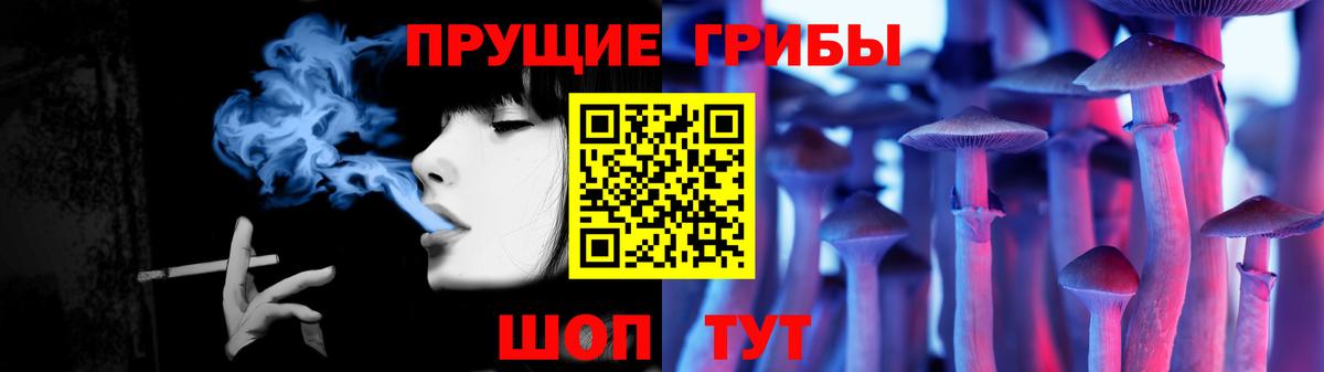 Псилоцибиновые грибы прущие грибы  Вход с VPN  Псилоцибиновые грибы прущие грибы  Чебоксары 